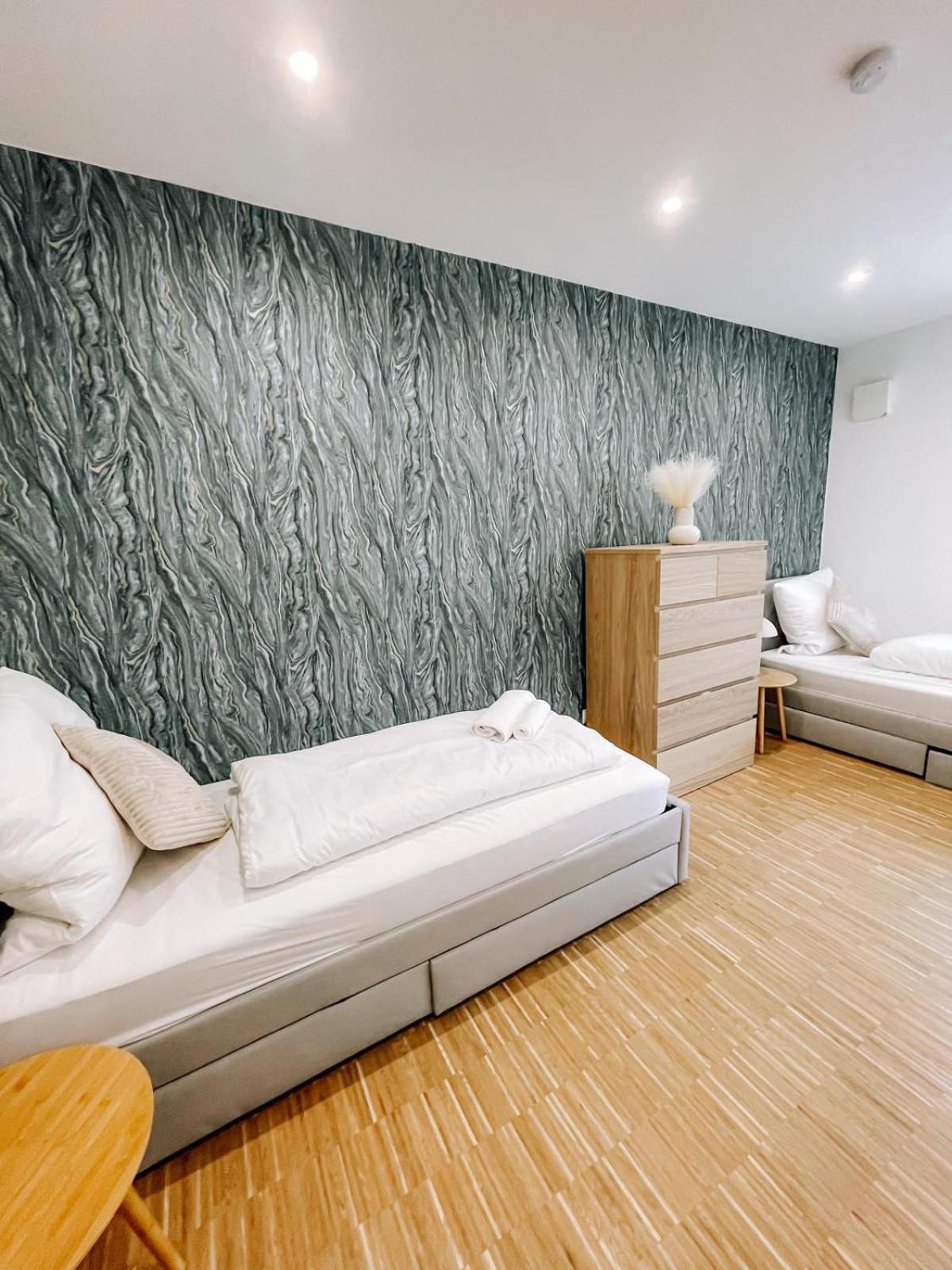 Doreyhome P3 - Modernes Charmantes Apartment Passau Exteriör bild